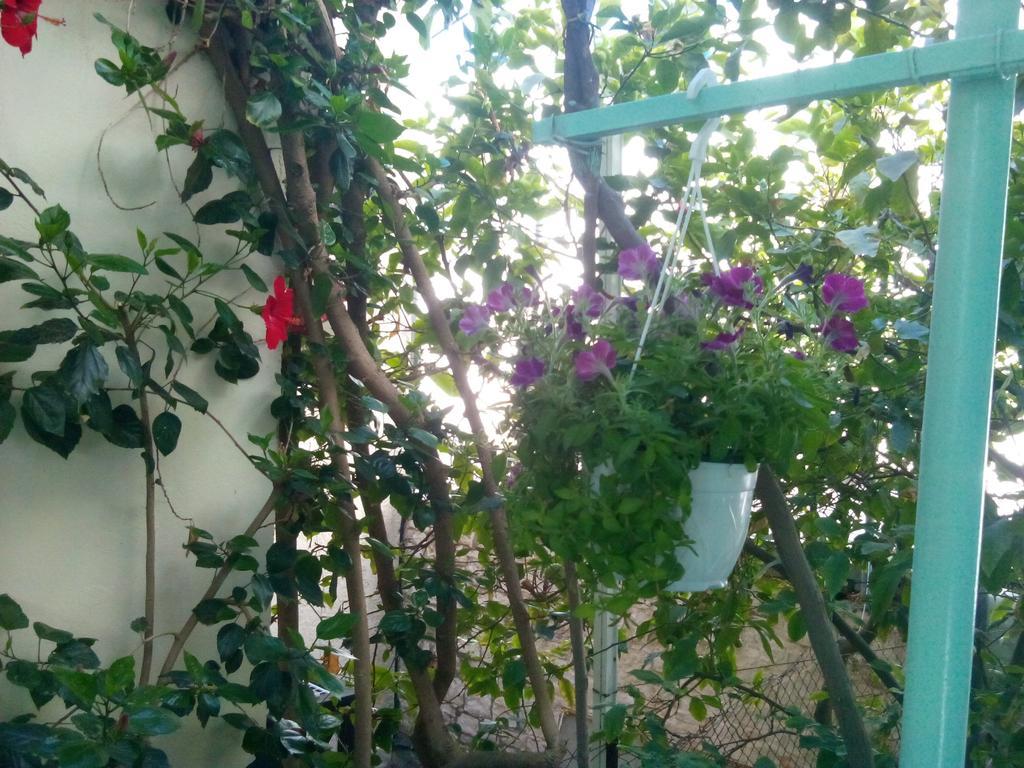 Mary'S Studios Agia Pelagia  Exterior foto